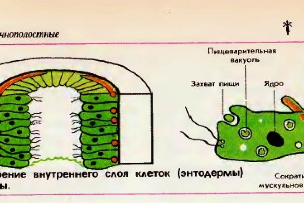 Как заказать на кракене