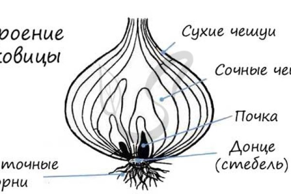 Как регистрироваться и заходить на кракен даркнет