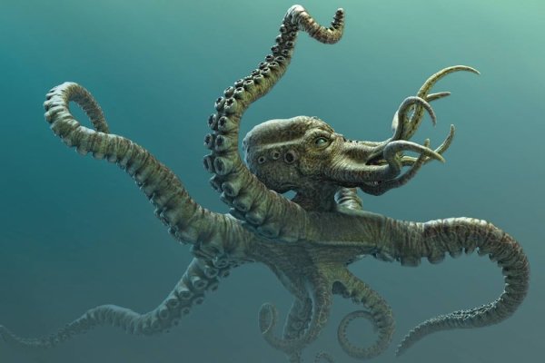 Kraken вход kraken torion