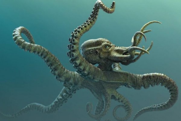 Kraken 4