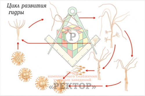 Кракен площадка зеркало